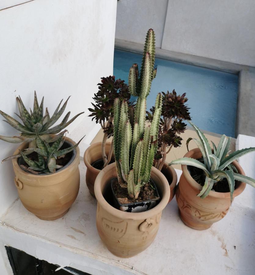 Riad Bab Aylen - Piscine Roof Top Chauffee Μαρακές Εξωτερικό φωτογραφία